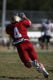 乐鱼体育app官网-英超球队基于位置热力图优化压迫式防守区域控制，英超球队战术