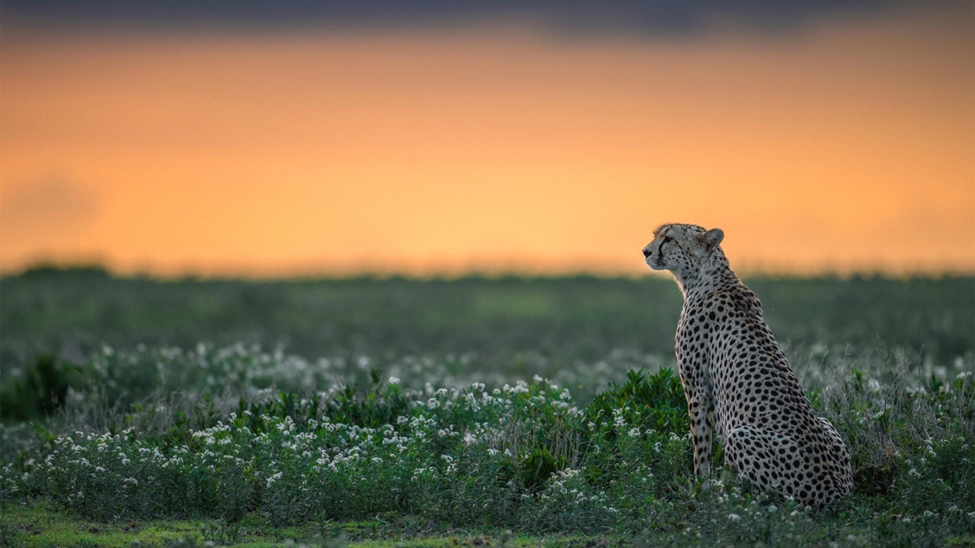 乐鱼体育官网网址-“东安湖体育公园：铁人三项赛场成全球选手的挑战之地”