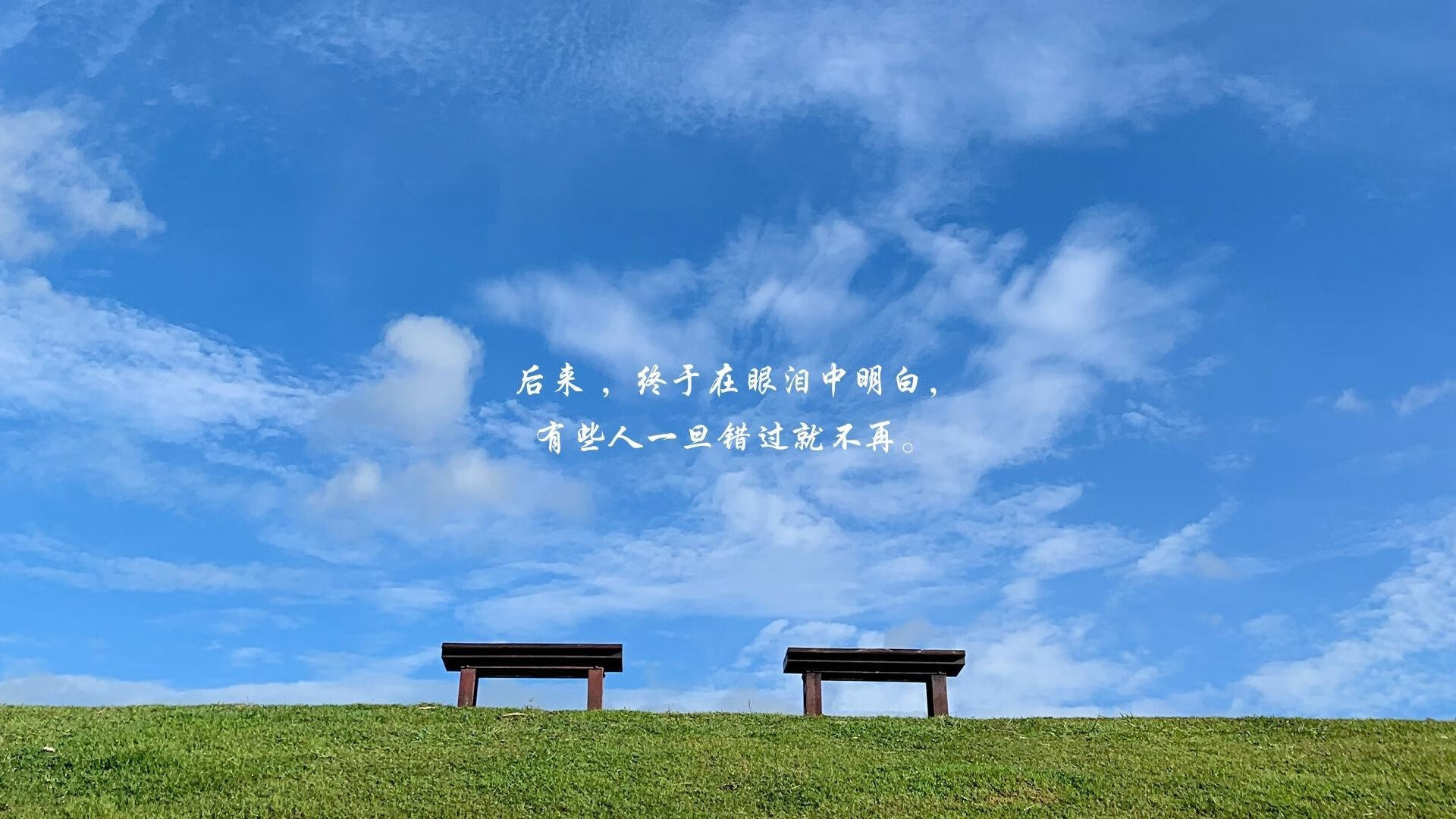 辽宁飞豹注重篮板争夺提高攻守转换效率,辽宁飞豹篮球俱乐部官方微博