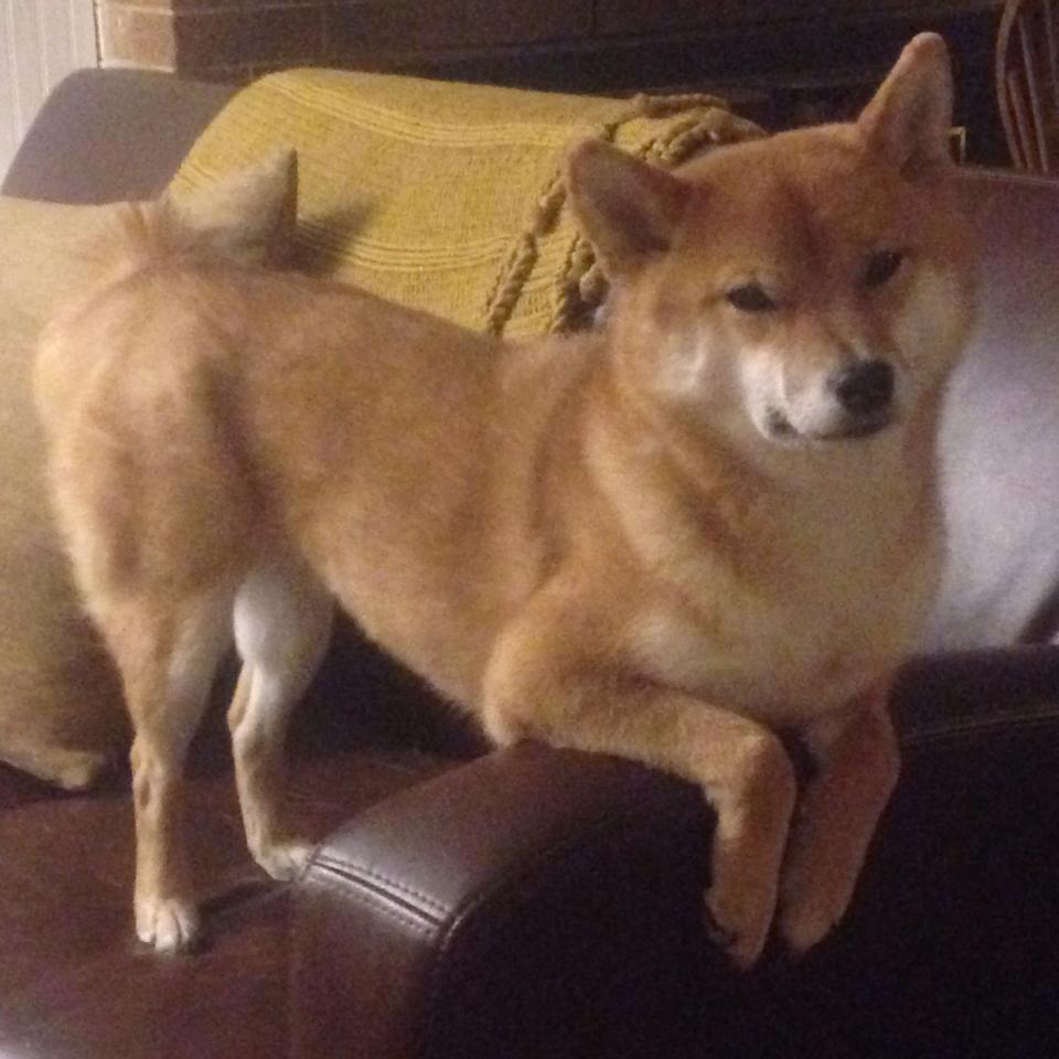 乐鱼体育-高节奏打法对球队投篮结构的影响，打篮球节奏感怎么练