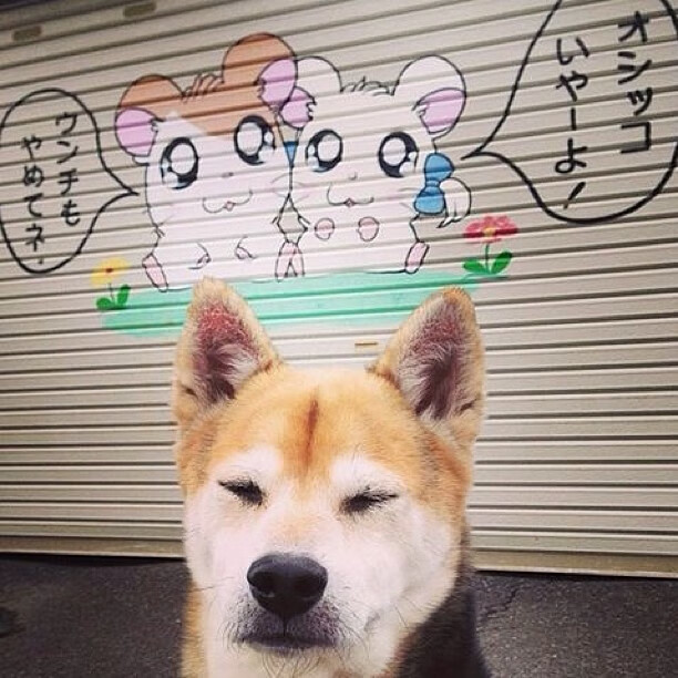 乌干达女篮在非洲锦标赛中持续冲锋，迎来体育新高峰，乌干达女子篮球联赛