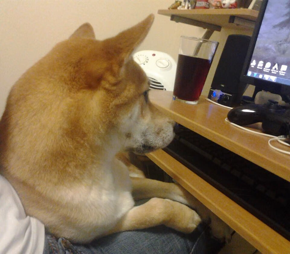 体育新闻中心通报校园体育场地安全排查阶段结果，体育场地安全隐患报告