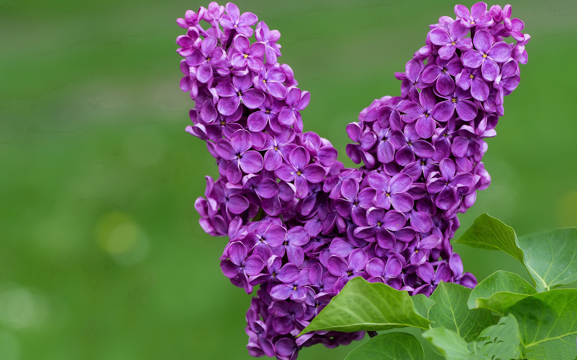 女子足球故事专栏上线展示球员成长历程激励青年，女子足球发展史